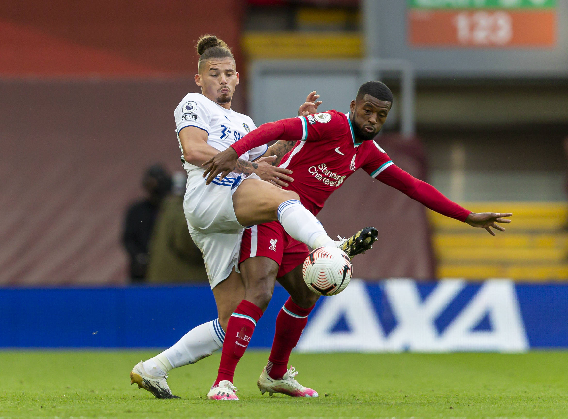 而战斗的背 而战斗的背